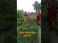 Gujral Nagar basin#video hai# short #🙏🙏🙏🙏🙏🌿video viral