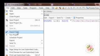 1-SAS Data Import