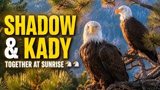 Athlete Statistics 🦅🦅 Shadow & Kady Together at Sunrise! 🌲 A Beautiful Big Bear Valley Morning 👀