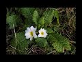 My Slideshow using canon eos 1100d camera