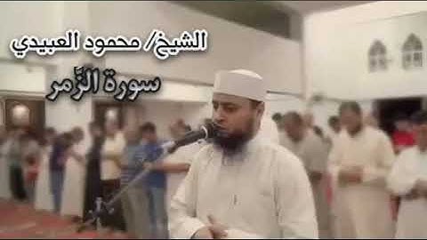 تلاوة لما تيسر من آواخر سورة الزمر .. للشيخ محمود العبيدي
