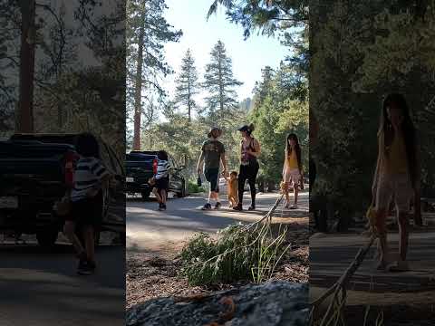 Видео: Sequoia Camping - къмпинги Kings Canyon