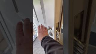 IMG 4029