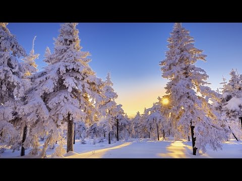 Unity (Instrumental)