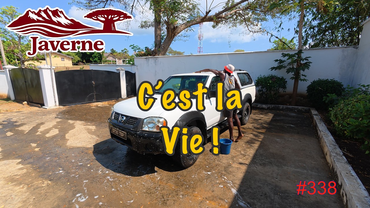 #338 C’est la Vie !