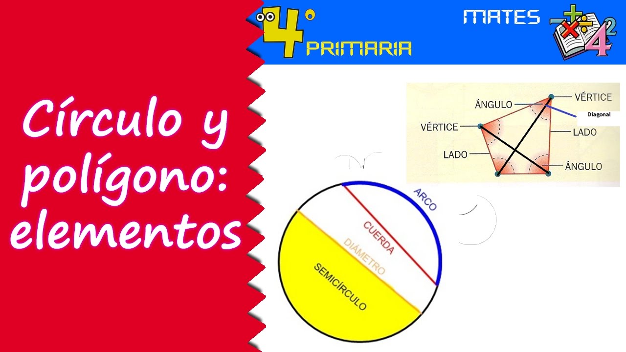 Porque El Circulo No Es Un Poligono