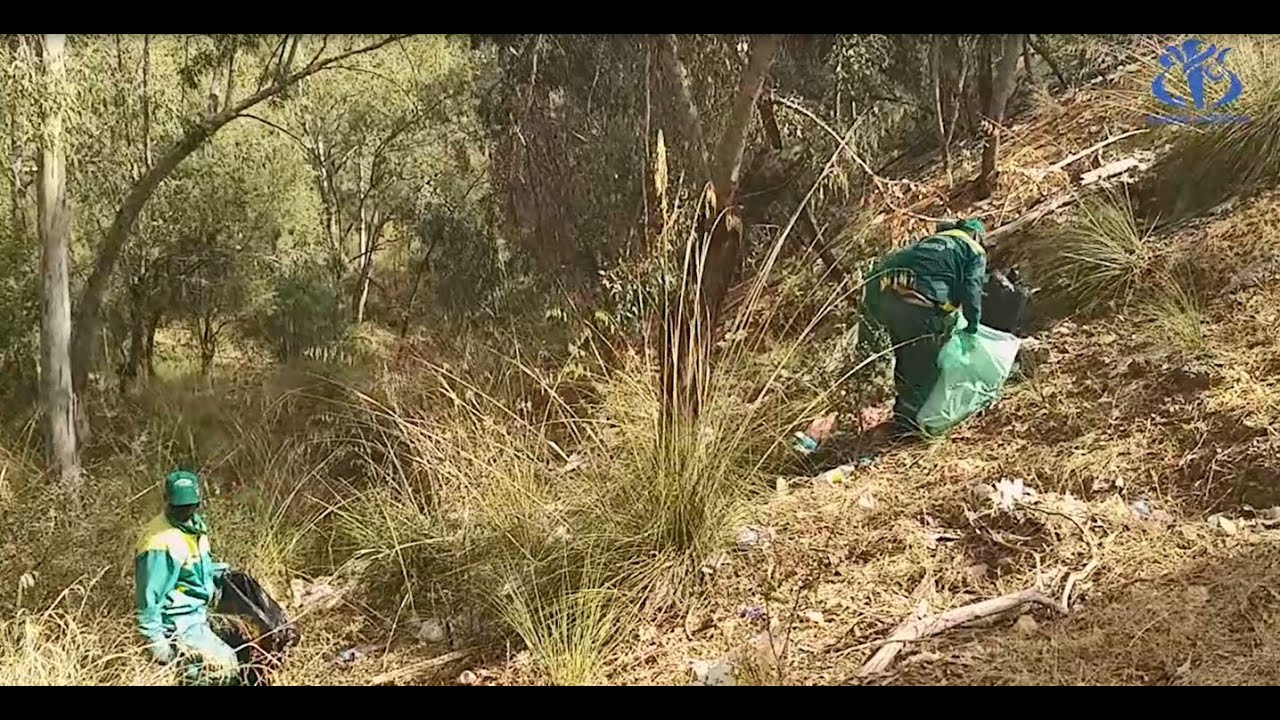 غابة الجباس بقسنطينة : جمع ما يقرب 20 طنا من النفايات البلاستيكية والزجاجية (محافظة الغابات)