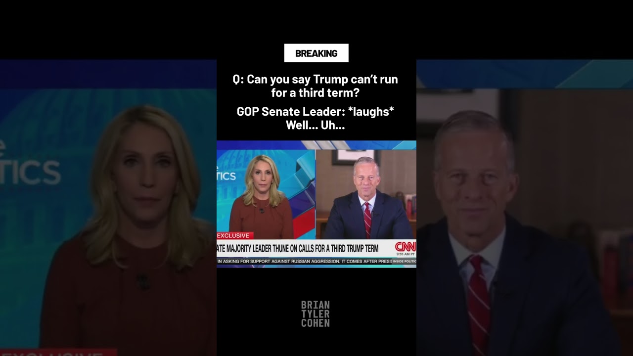 Republican PANICS on air over Trump third term