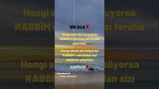 Ami̇nşfet Öneçıkar