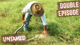 Injured 10ft Python Has Swallowed Kangaroo! | Full Episodes