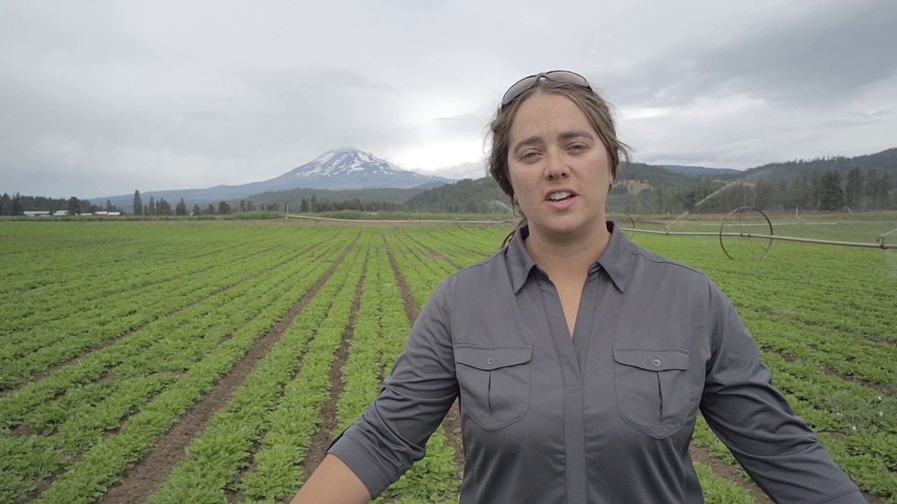 Trout Lake West Farm YouTube