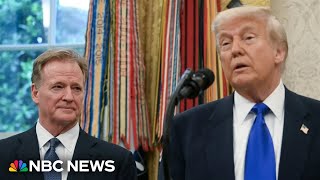 NFL's Goodell stands with Trump as politics-shy league appears to embrace it