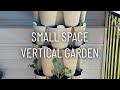 Small space vertical garden  greenstalk vertical planter setup