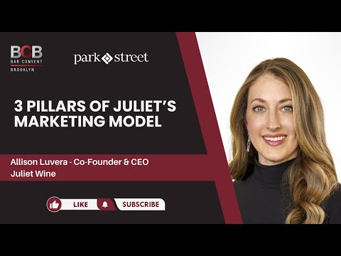 Entrepreneurial Insights: Juliet's Modern Marketing Model