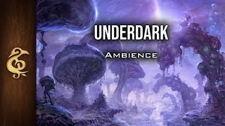 The Deep | Subterrean, Grotto Ambience | 1 Hour #dnd