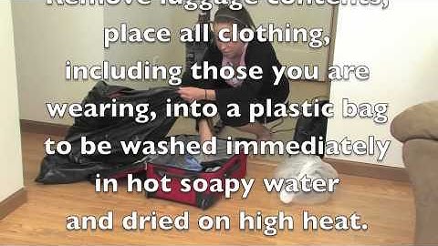 Bed Bug Travel Tip: Avoid Bringing Bed Bugs Home