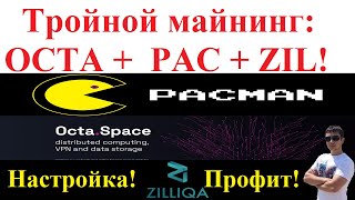 Тройной майнинг: OCTA +  PAC + ZIL! Настройка! Доходность!