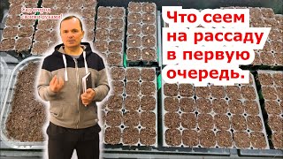 Сеем Всю Рассаду Теперь Только В Порезанную Кассету. Попробуйте.