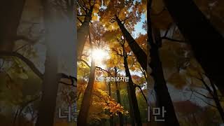 제발 헛소리 (short) #가을노래 #음악 #노래 #추억 #이별 #luminea #kpoplovesong #kpop #heartfelt #감성