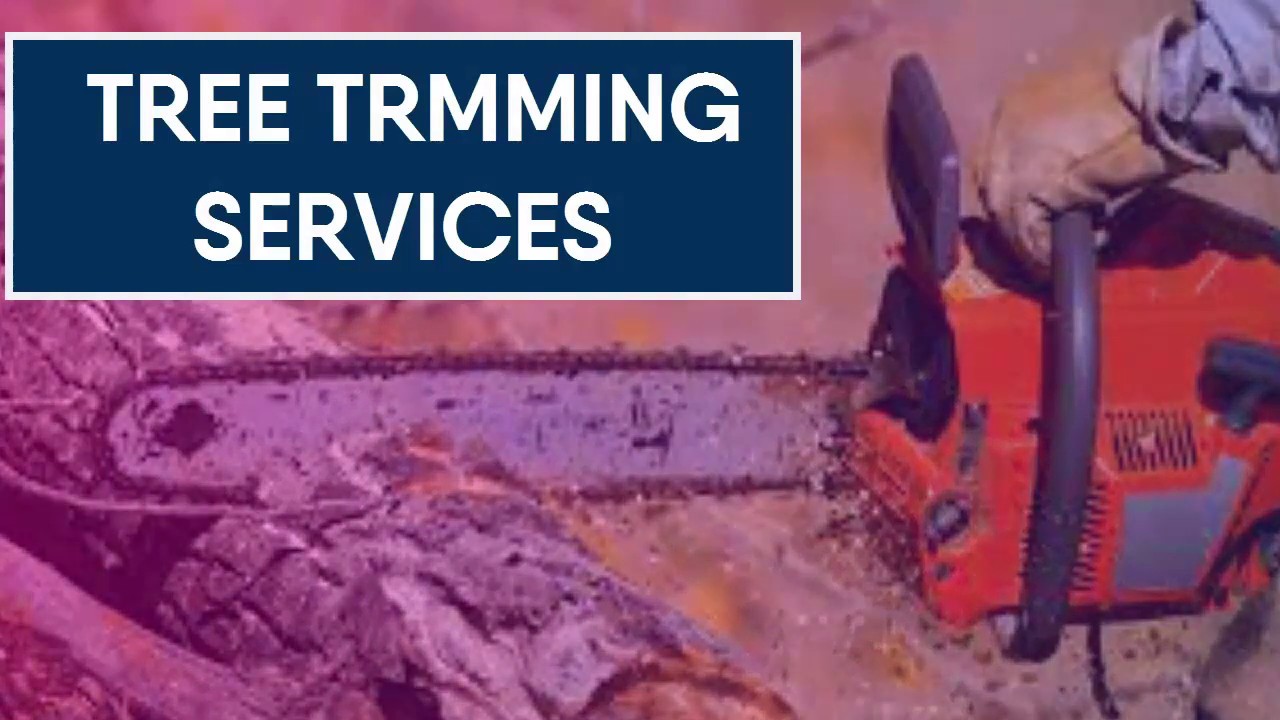 Tree Trimming Columbus Ohio Best Tree Trimming Services in Ohio YouTube