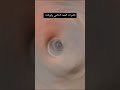خاتم حسب الطلب تعاهدنا على السير معا وعلى العهد بقينا