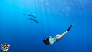 BOOBIES And BLUE WATER SPEARFISHING