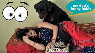 My dog wants to have fun today||funny dog videos||rottweiler.