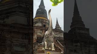 Brontosaurus 🦕 บรอนโต้ 长脖子