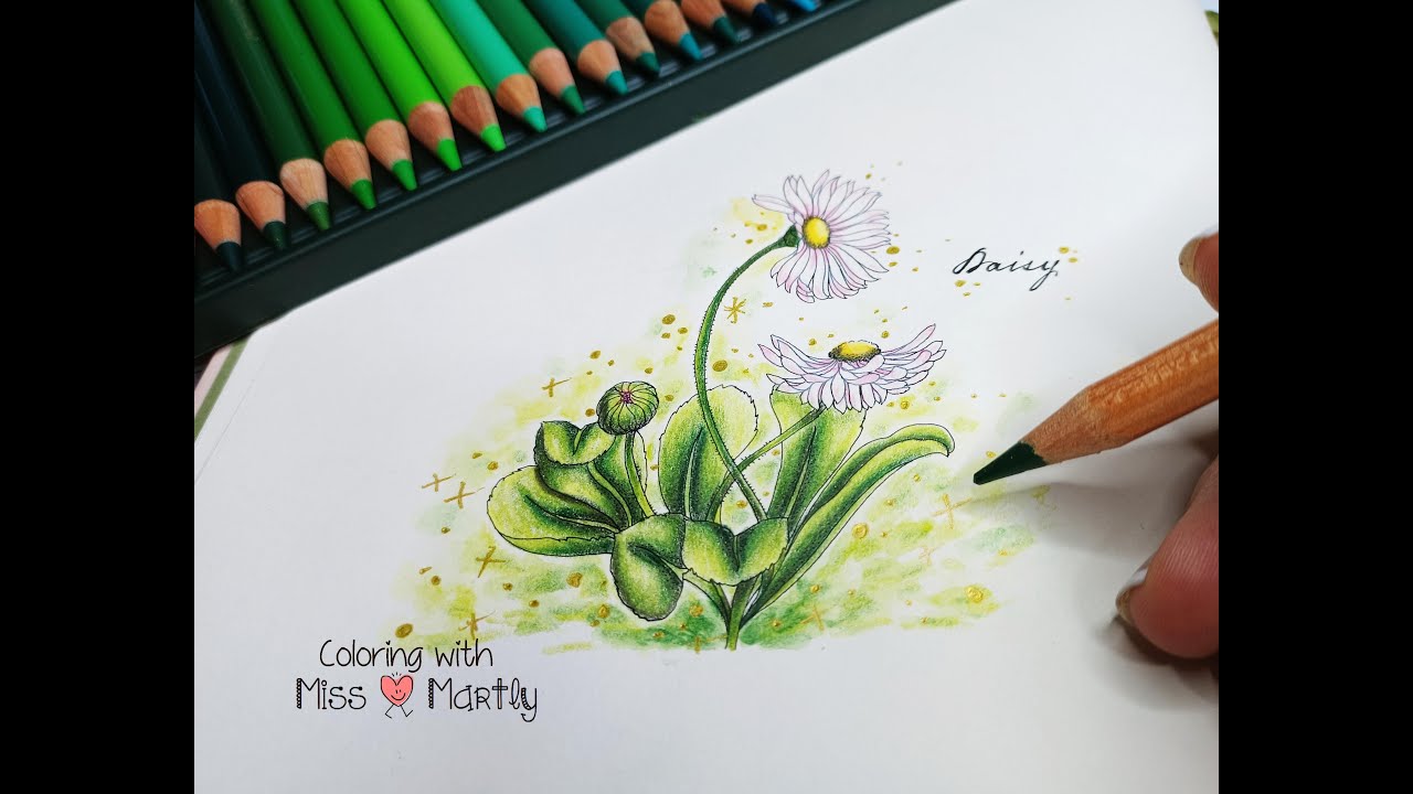 Coloring tutorial | The flower year by Leila Duly | Daisy with Polychromos