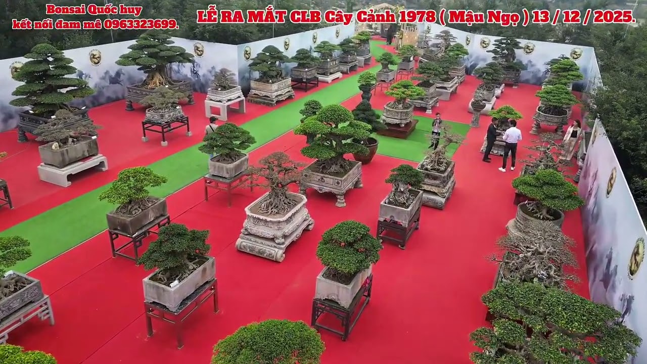 LỄ RA MẮT CLB cây cảnh 1978  Mậu Ngọ