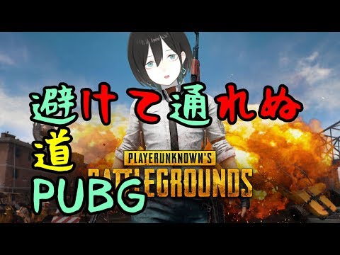 【PUBG】バトロワ食わず嫌い王湊音みなみがドン勝つするとこ見て【VTuber】 #8