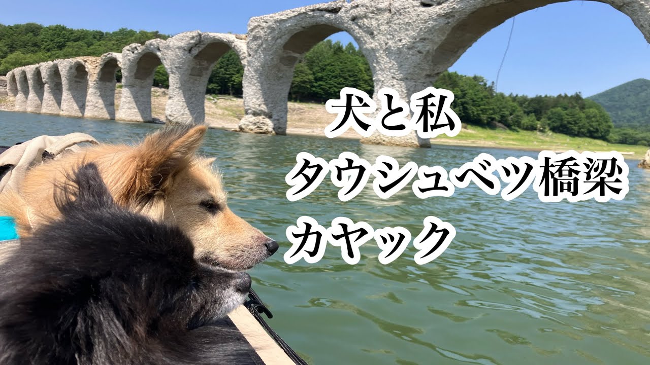 【北海道犬連れカヤック一人旅】4泊5日、十勝カヤック＆隙間バイト旅〜幻の橋、タウシュベツ川橋梁を目指す！
