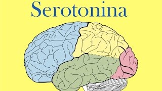 Serotonina