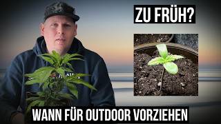When to start cannabis seeds indoors? 🌱 🇩🇪 Outdoor Guide for Germany | #420 #grow