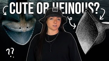 Gulper Eel Iceberg: Cute or Heinous? | Lindsay Nikole