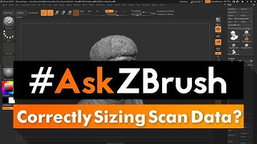 #AskZBrush: “How can I correctly size imported scan data?”