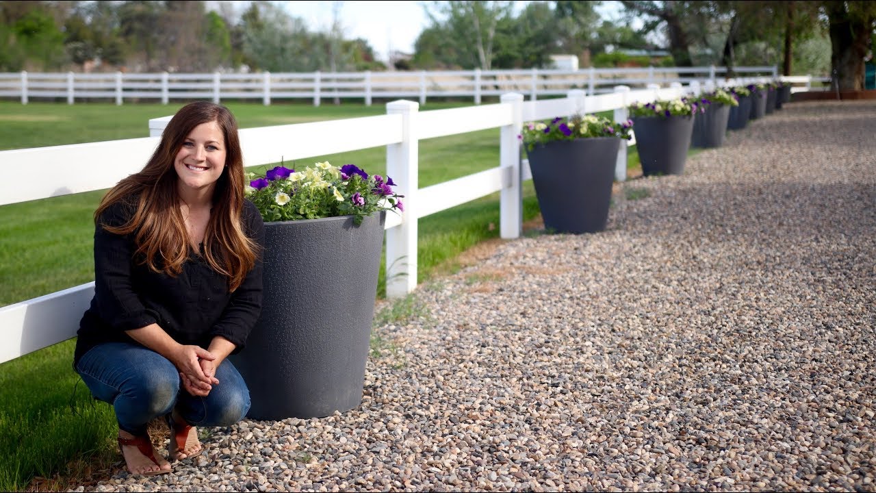 Planting up Our Self Watering Containers 💜💛 // Garden Answer - YouTube