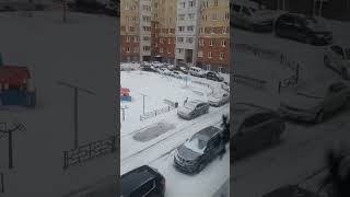 косули атакуют Омск