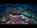 Ingots on the seabed off Antalya, from the oldest-known shipwreck in the world