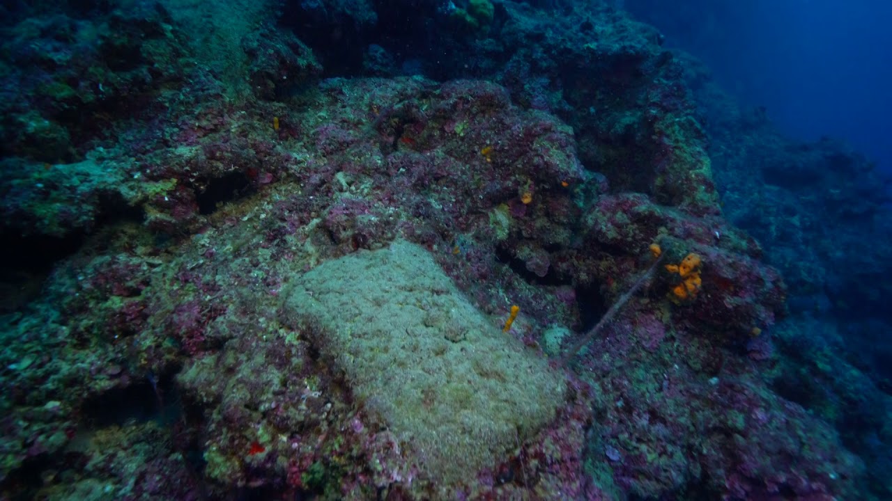 Ingots on the seabed off Antalya, from the oldest-known shipwreck in the world | Haaretz | Published on April 16, 2019 | Video credit: Tahsin Ceylan