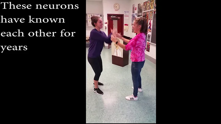 Long Term Potentiation2