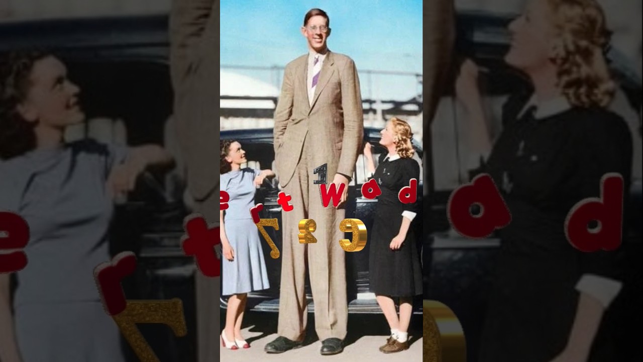 Top 10 tallest person in the world