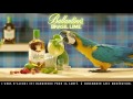 Ballantines brasil lime