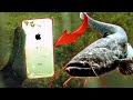 MONSTER WELS (2m) & IPhone bei SCHATZSUCHE Unterwasser mit METALLDETEKTOR gefunden!! Sondeln/Tauchen
