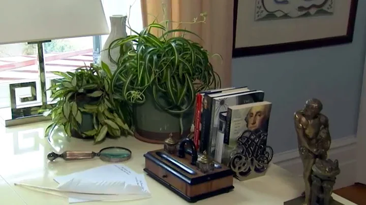 Air Purification House Plants | At Home With P. Allen - DayDayNews