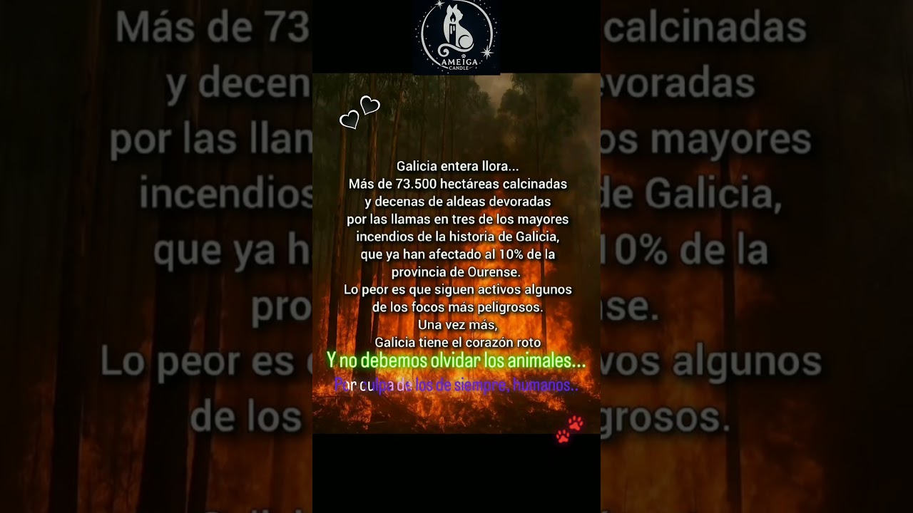 🔥 Galicia arde, los animales sufren… y el corazón se rompe 💔🌲🐾
