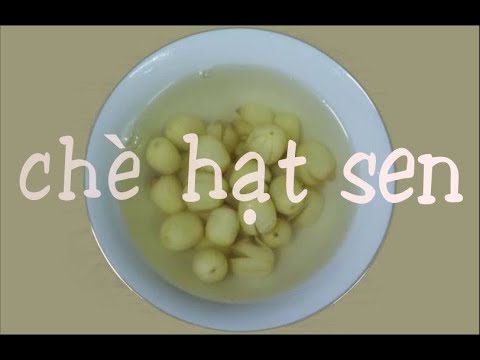 Hướng dẫn Cách nấu chè sen – [Vietsub/Engsub] Cách nấu chè hạt sen đơn giản lại ngon | Sweet lotus seed gruel