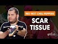 SCAR TISSUE - Red Hot Chili Peppers (aula de guitarra)