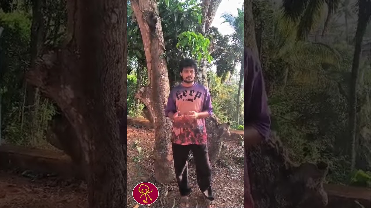 All Videos