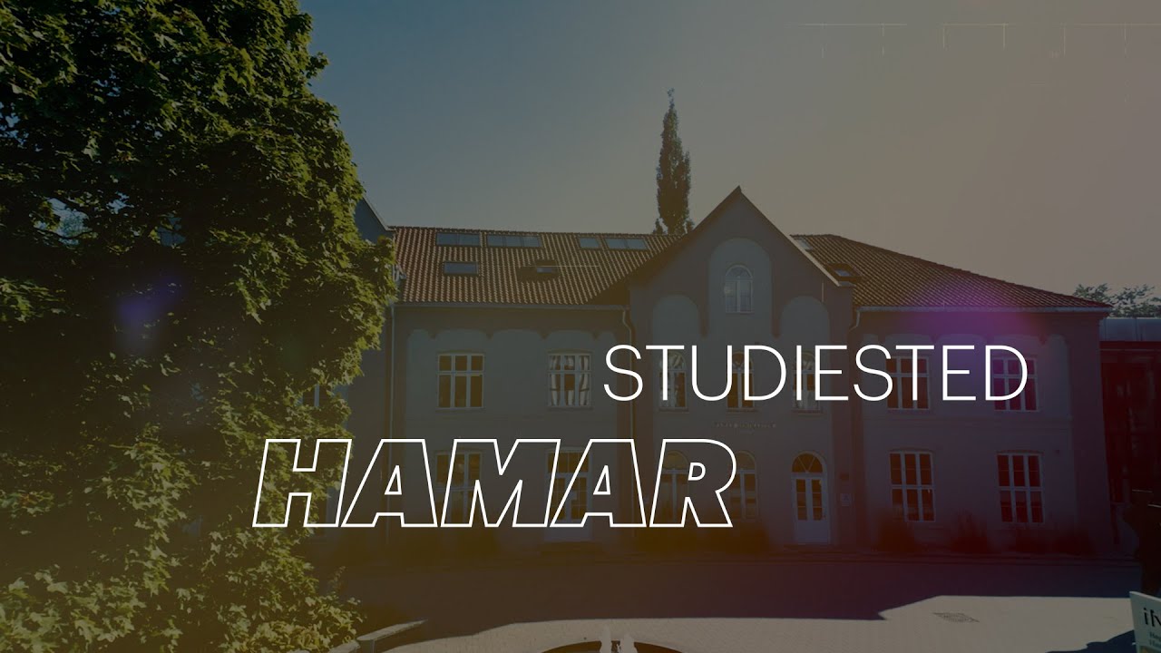 Alt du bør vite om studiested Hamar.